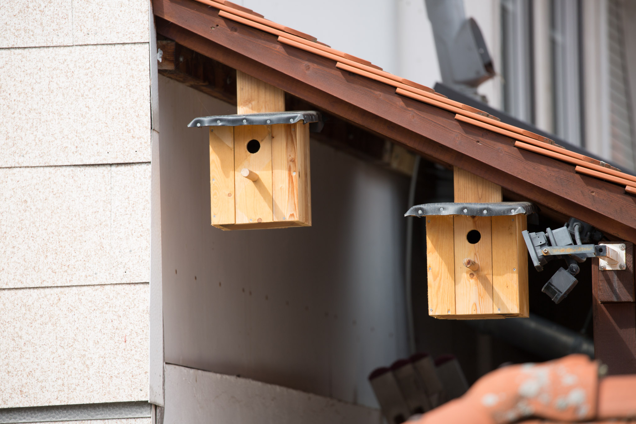 20220409142133 3K6A1896